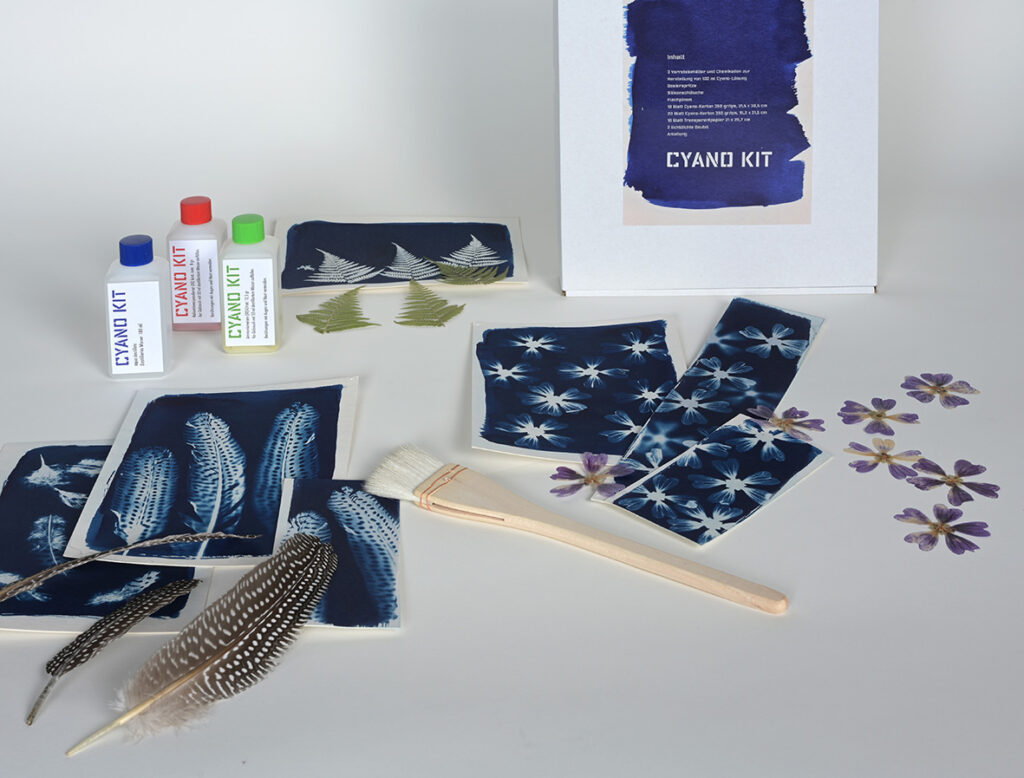 Cyanotypien, die mithilfe von Naturmaterialien entstanden.